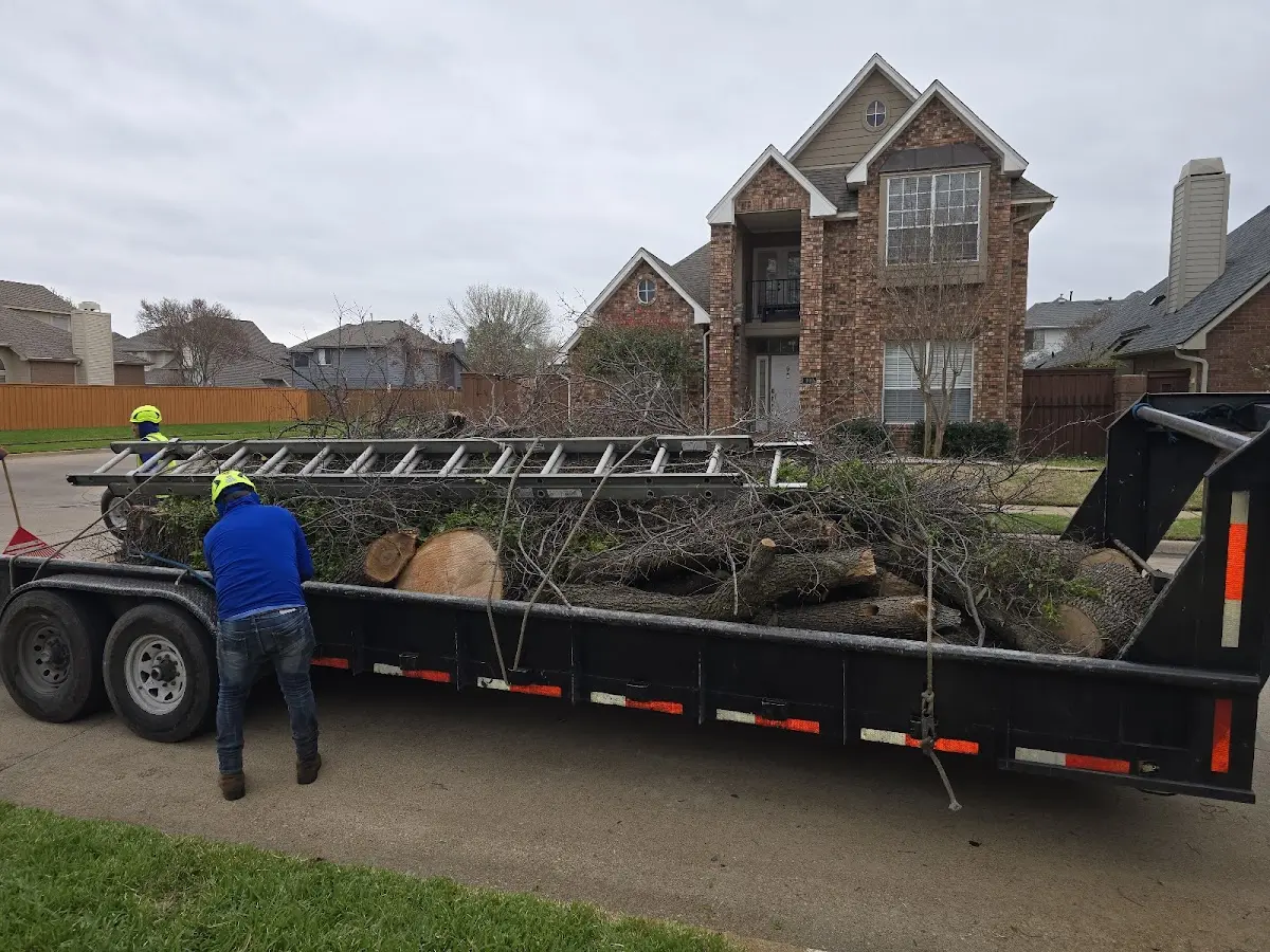Expert Tree Fertilization with proper safety equipment in Bourbon